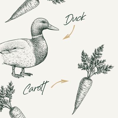 Show full view: Bab'in Flavour Mill Duck & Carrot Dog Food Topper, 45-gm jar slide 3 of 6