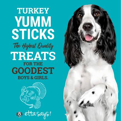 Show full view: Etta Says! Turkey Yumm Sticks Human Grade Turkey Jerky Dog Treats, 1 count slide 4 of 12