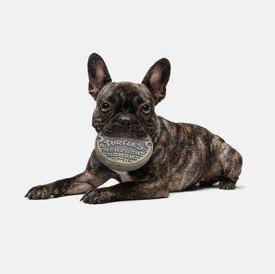 Show full view: Teenage Mutant Ninja Turtles Squeaky Sewer Cover Dog Chew Toy slide 3 of 7