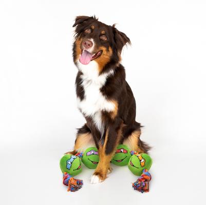 Show full view: Teenage Mutant Ninja Turtles Tough Character Rope Tug Dog Toy slide 3 of 7