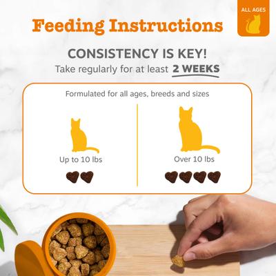 Show full view: Zesty Paws Calming Bites Bacon Flavored Soft Chews Melatonin Supplement for Cats, 60 count slide 5 of 10