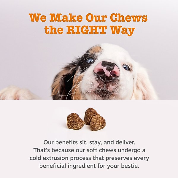 Show full view: Zesty Paws Allergy & Immune Bites Allergies, Immune, & Gut Support Peanut Butter Flavored Soft Chews Supplement for Dogs, 90 count slide 8 of 11