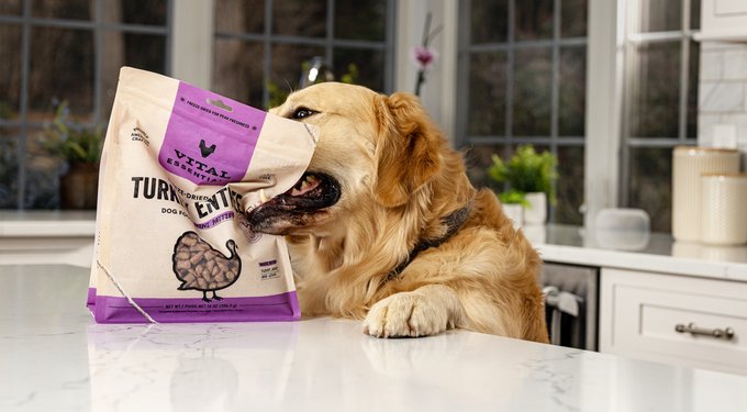 Vital Essentials Minnows Freeze-Dried Raw Dog Treats
