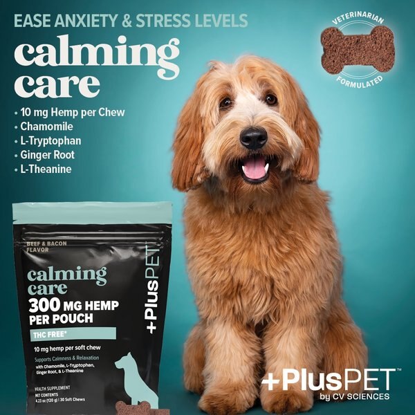 +PlusPET Pet Calming Care Beef & Bacon Flavored Soft Chew Full Spectrum Hemp Extract Calming Health Supplement for Dogs