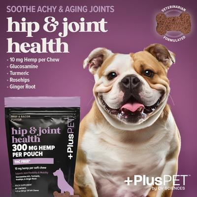 Show full view: +PlusPET Pet Hip & Joint Health Beef & Bacon Flavored Soft Chew Full Spectrum Hemp Extract Joint Health Supplement for Dogs, 30 count slide 3 of 10