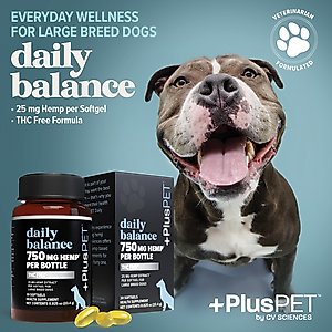 +PlusPET Pet Daily Balance Softgel Full Spectrum Hemp Extract Health Supplement for Large Breed Dogs, 30 count