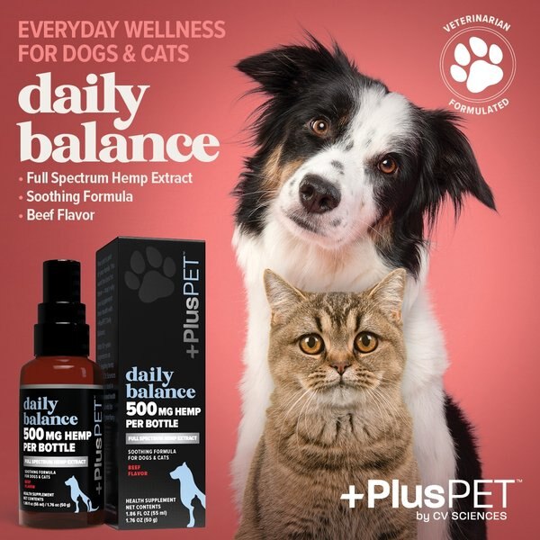 +PlusPET Daily Balance Beef Flavored Full Spectrum Hemp Extract Oil Health Supplement for Dogs & Cats