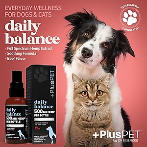 +PlusPET Daily Balance Beef Flavored Full Spectrum Hemp Extract Oil Health Supplement for Dogs & Cats, 1.86-fl oz bottle