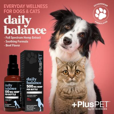 Show full view: +PlusPET Daily Balance Beef Flavored Full Spectrum Hemp Extract Oil Health Supplement for Dogs & Cats, 1.86-fl oz bottle slide 4 of 8