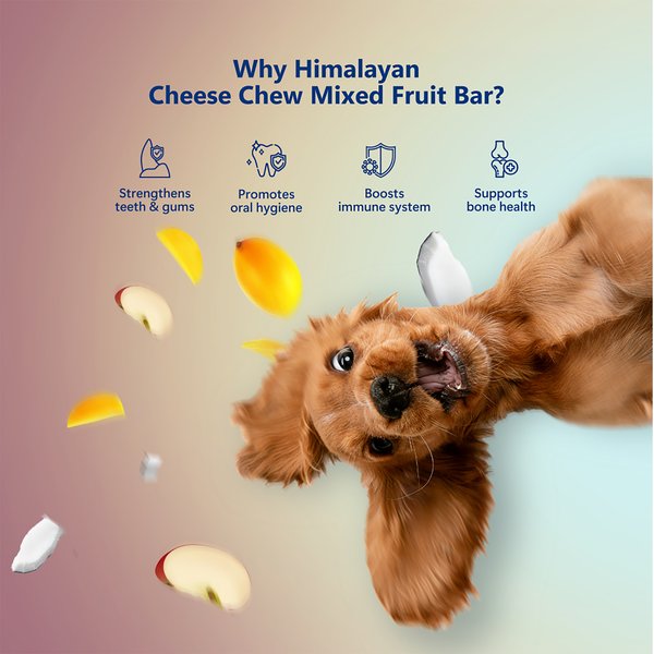 Pawfect Himalayan Cheese Chews Large All Natural High-Protein Grain-Free with Apple Coconut & Mango Dental Dog Treats, 3 count
