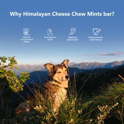 Show full view: Pawfect Himalayan Cheese Chews Large All Natural High-Protein Grain-Free Dental with Mint Dog Treats, 3 count slide 5 of 9