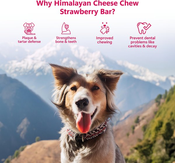 Pawfect Himalayan Cheese Bars Strawberry Dog Chews