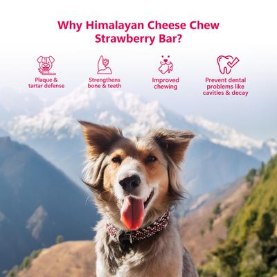 Show full view: Pawfect Himalayan Cheese Chews Large All Natural High-Protein Grain-Free with Strawberry Dental Dog Treats, 3 count slide 5 of 9