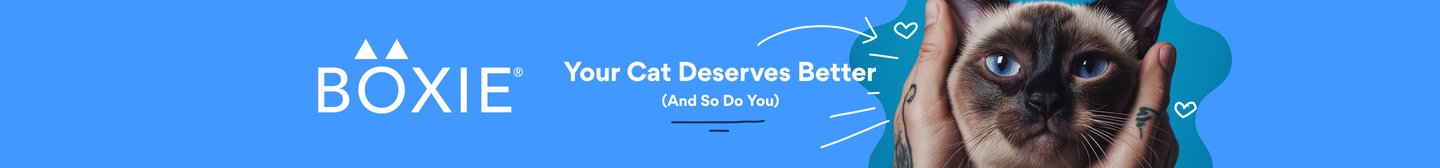 Boxie.  Your Cat Deserves Better (And So Do You).