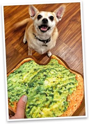 Show full view: Doggijuana Tuffer Chewer Avocado Toast Tough Dog Chew Toy slide 7 of 9