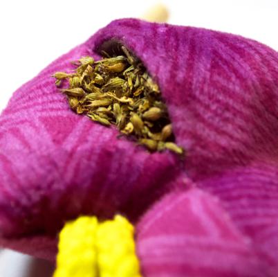 Show full view: Kitty Ka-Zoom Zoomie Spider Cat Teaser Toy slide 3 of 3