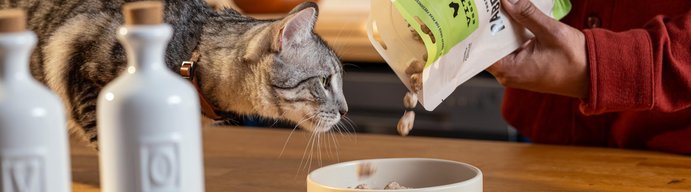 Vital Essentials for Cats