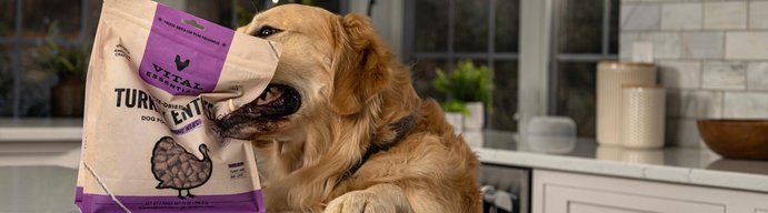 Vital Essentials for Dogs