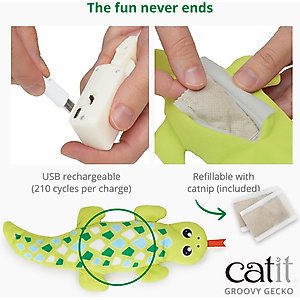 Catit Groovy Gecko Catnip Cat Toy