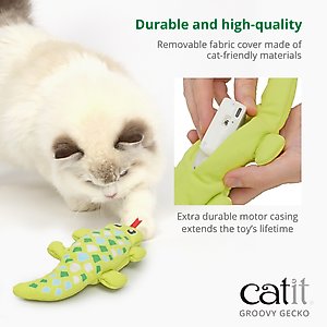 Catit Groovy Gecko Catnip Cat Toy