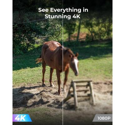 Show full view: Reolink 4K 4G LTE Outdoor Pet Camera, White slide 2 of 10