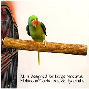 Polly's Pet Products Hardwood Bird Perch, X-Large