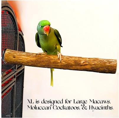 Show full view: Polly's Pet Products Hardwood Bird Perch, X-Large slide 4 of 5