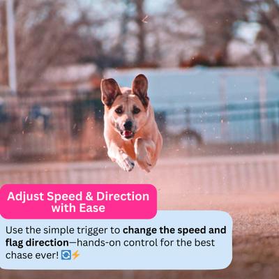 Show full view: SwiftPaws Handheld Remote Controller for Chase! Dog Toy, Black slide 6 of 10