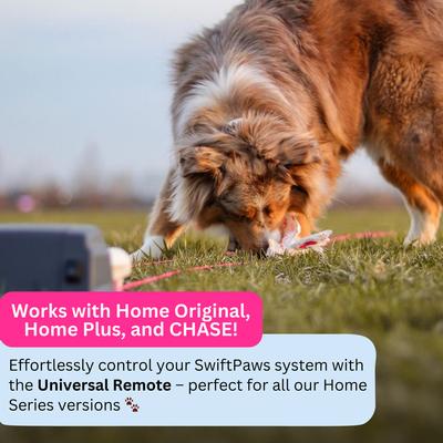 Show full view: SwiftPaws Handheld Remote Controller for Chase! Dog Toy, Black slide 4 of 10