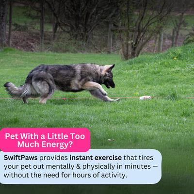 Show full view: SwiftPaws Chase! Complete Lure Course Kit Dog Toy, Black slide 8 of 10