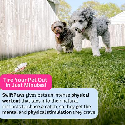 Show full view: SwiftPaws Chase! Complete Lure Course Kit Dog Toy, Black slide 6 of 10