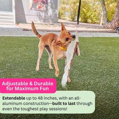 Show full view: SwiftPaws Extendable Flirt Pole Dog Toy, Black slide 5 of 9