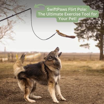 Show full view: SwiftPaws Extendable Flirt Pole Dog Toy, Black slide 2 of 9