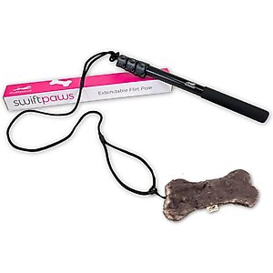 SwiftPaws Extendable Flirt Pole Dog Toy, Black