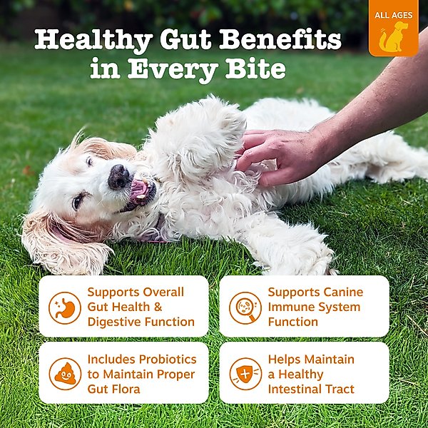 Show full view: Zesty Paws Probiotic Bites Pumpkin Flavored Soft Chews Gut Flora & Digestive Supplement for Dogs, 270 count slide 2 of 10