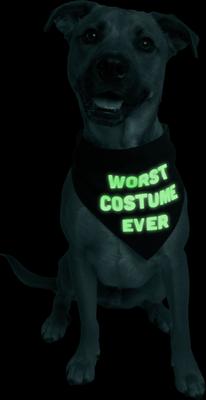 Show full view: Pet Krewe Worst Costume Ever Reversible Bandana Dog Costume slide 5 of 7