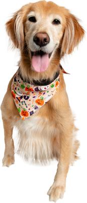 Show full view: Pet Krewe Worst Costume Ever Reversible Bandana Dog Costume slide 6 of 7