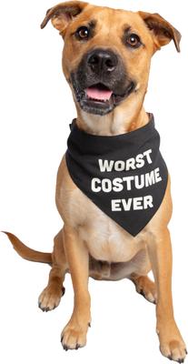 Show full view: Pet Krewe Worst Costume Ever Reversible Bandana Dog Costume slide 3 of 7