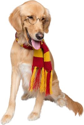 Show full view: Pet Krewe Hipster Wizard Scarf Dog Costume, Red/Yellow slide 2 of 9