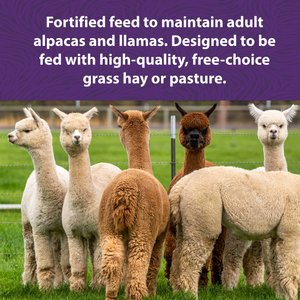 Mazuri Alpaca & Llama Maintenance Alpaca & Llama Food, 50-lb bag
