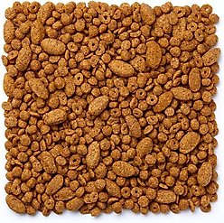 Mazuri Large Bird Food, 3-lb bag slide 2 of 8