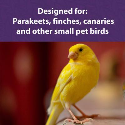 Show full view: Mazuri Mini Bird Food, 2-lb bag slide 4 of 9