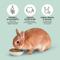 Show in main carousel: Kaytee Timothy Complete Pelleted Rabbit Food, 25-lb bag slide 6 of 12
