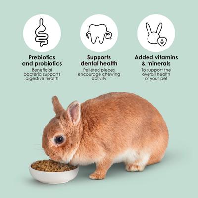 Show full view: Kaytee Timothy Complete Pelleted Rabbit Food, 25-lb bag slide 6 of 12