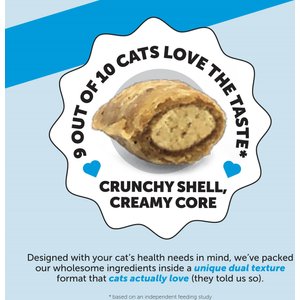 Pet Honesty Skin & Coat Health Chews Allergy Relief of Itchy Skin Supplement for Cats, 3.7-oz bag