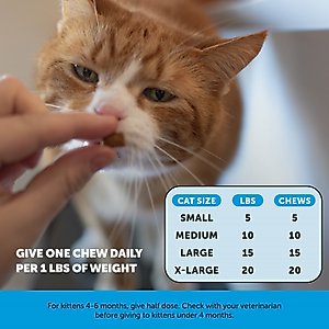 Pet Honesty Skin & Coat Health Chews Allergy Relief of Itchy Skin Supplement for Cats, 3.7-oz bag