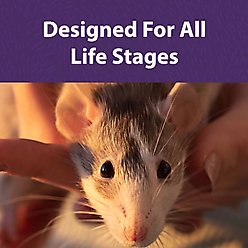 Mazuri Mouse & Rat Food, 2-lb bag slide 2 of 7