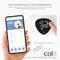 Show in main carousel: Catit Pixi Smart 6-Meal Cat Feeder, Stainless slide 7 of 11