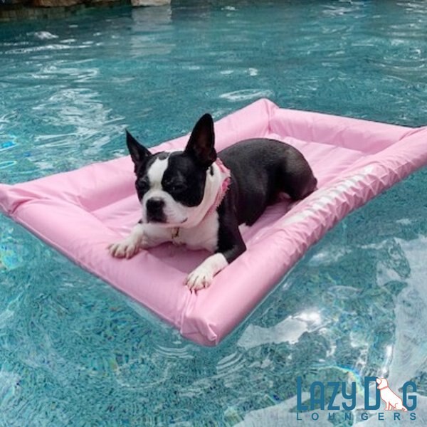 Lazy Dog Lounger Water Raft Dog Toy
