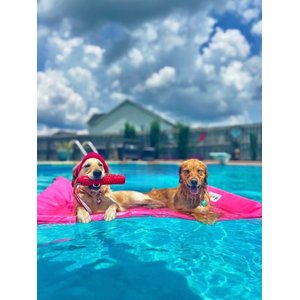 Lazy Dog Lounger Water Raft Dog Toy, Pink, Large
